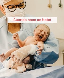 Pigeon cuando nace un bebe